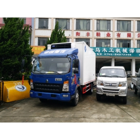 中國(guó)重汽 載貨汽車(chē)