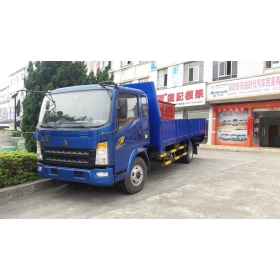 中國(guó)重汽 載貨汽車